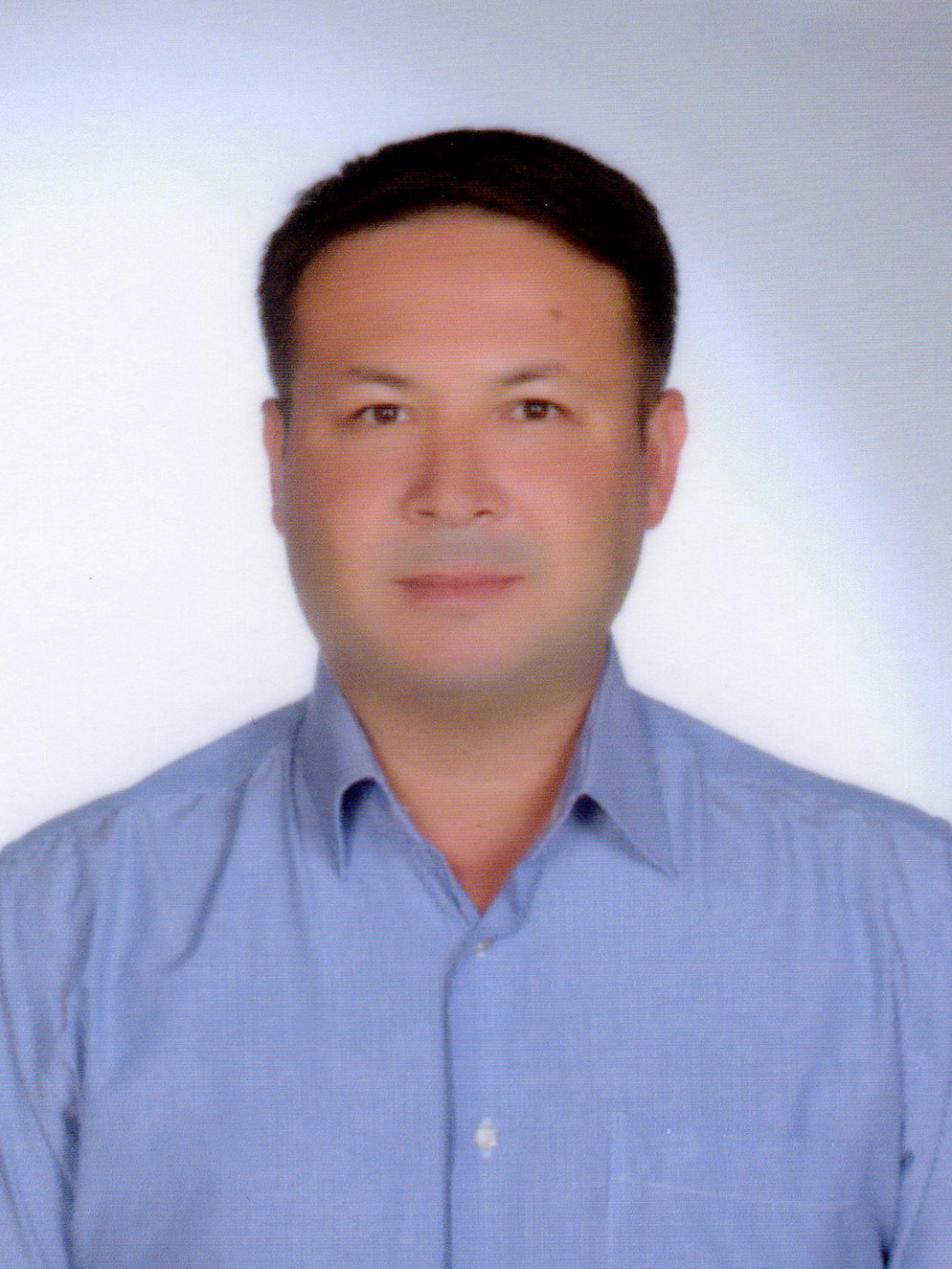 YILMAZ SARI