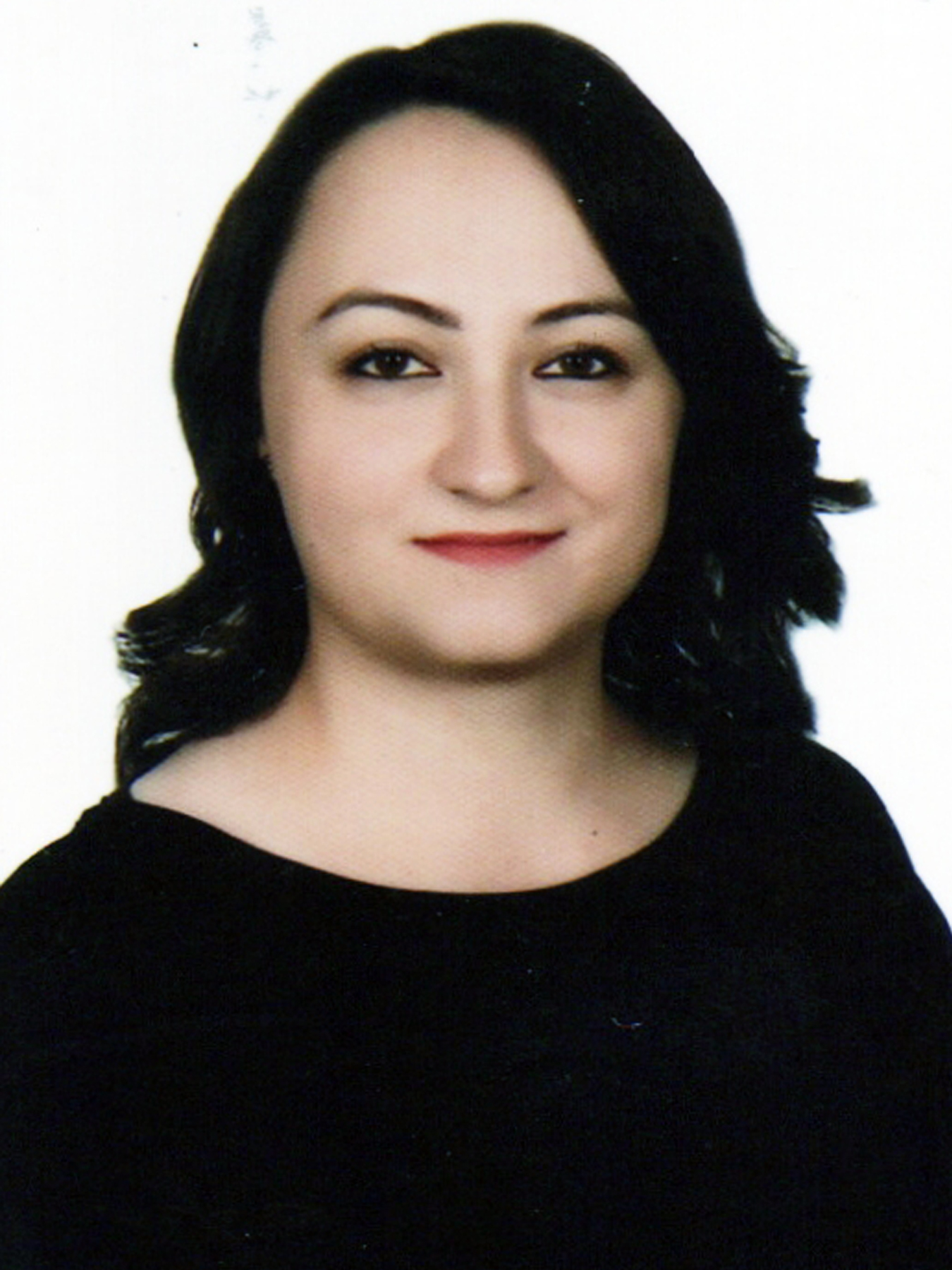 DEMET KARGIN