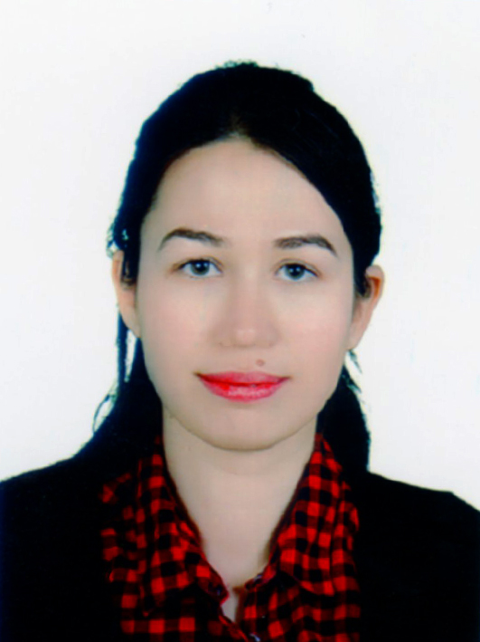 ŞERİFE ER GÜMÜŞ